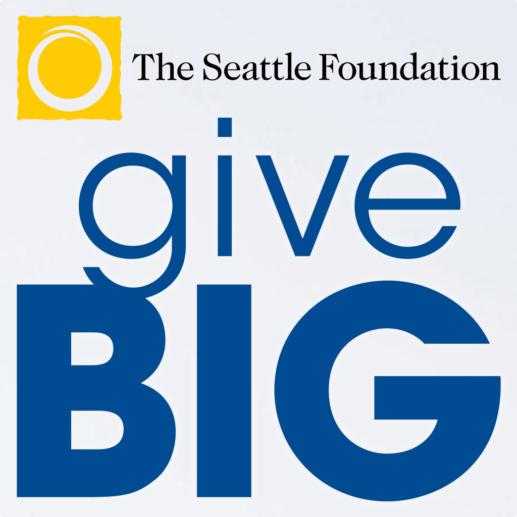 TSF_GiveBIG2013_color_block