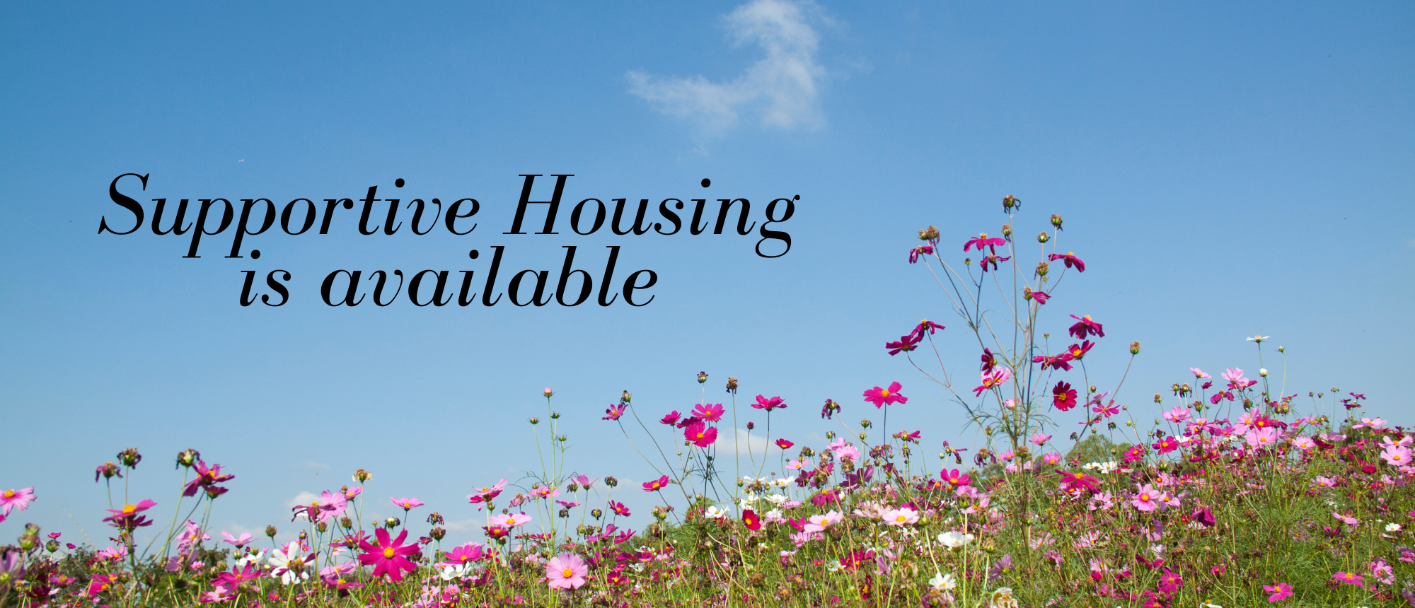 Supportive housing is available. Click for more information.